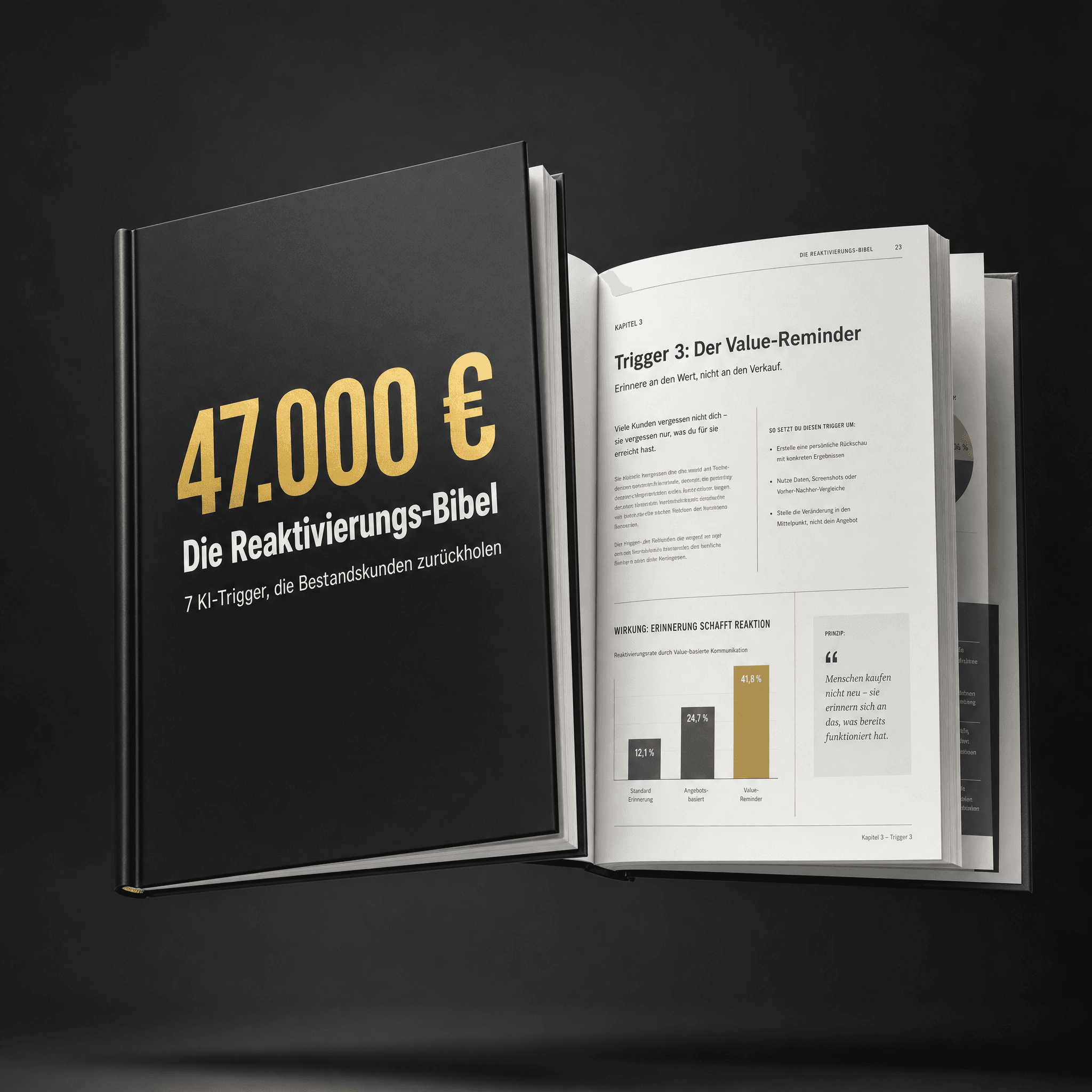 Premium-Hardcover-Buch in 3/4-Ansicht des Reaktivierungs-Guides